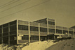 1945년 조선간유제약공업사 창립