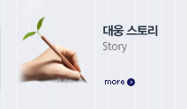 대웅 스토리 Story more