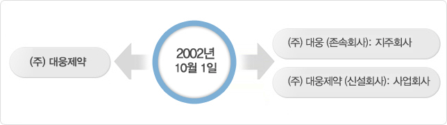  (주) 대웅제약 2002년 10월 1일 (주) 대웅 (존속회사): 지주회사 (주) 대웅제약 (신설회사): 사업회사