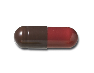 곰실린 500mg 캡슐